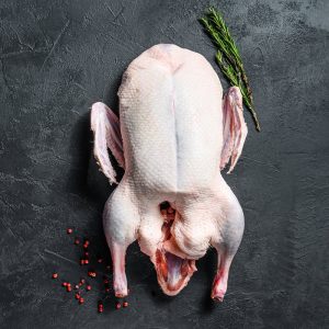 Whole Goose